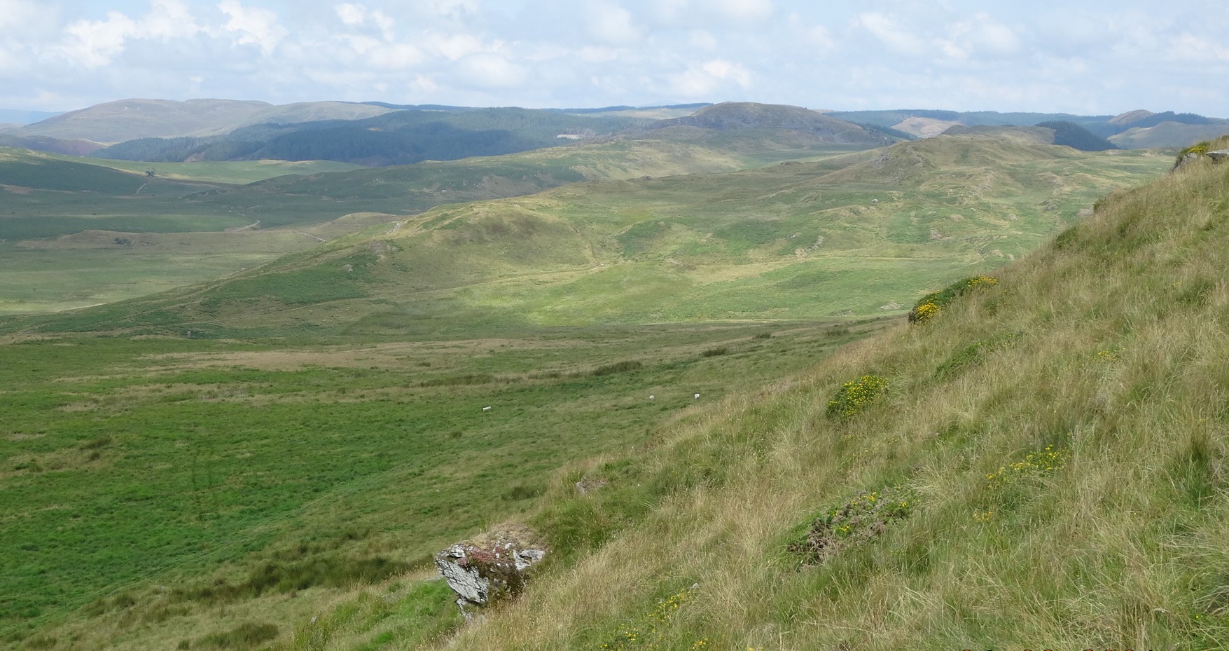 RachelSeabrook.net | Wild Walking | Disgwylfa-Fawr | pic06A